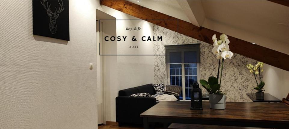 Ferienwohnung Calm & Cosy Freyming-Merlebach Exterior foto